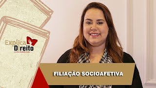 Explica Direito Filiação Socioafetiva  2019 [upl. by Ardnuaet596]