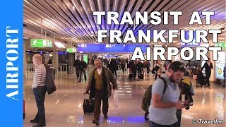 TRANSIT WALK AT FRANKFURT Airport FRA Terminal 1  Connection Flight Transfer Arriving amp Departing [upl. by Ykcir]